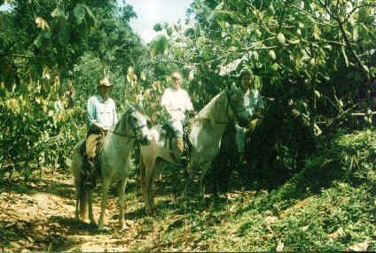 MATA ATLANTICA